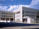 ConsorzioMacchiaFerrandina_icona